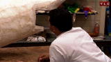 Cake Boss: Like a Shark
