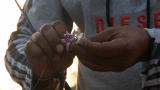 Extreme Fishing with Robson Green: Fishing with Flowers?