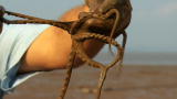 Extreme Fishing with Robson Green: Scouring for Octopus