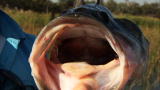 Extreme Fishing with Robson Green: One Quick Catch