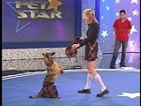 Pet Star: Pet Star: Java