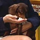Pet Trends with Maggie Gallant: Woofypop -- Pet Popcorn