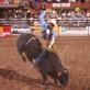 Beyond The Bull: Superman Adriano