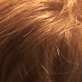 Why? Tell Me Why!: Hair 