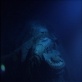 Titanic: Anatomy of a Disaster: Engine