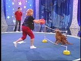 Pet Star: Pet Star: Dickens