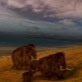 Land of the Mammoth: Extinction Theories