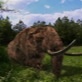 Mastodon in Your Backyard: History of the Mastodon