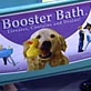 play video on Animal Planet