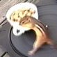 All-New Planet's Funniest Animals: Chipmunk