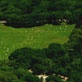 We Built This City: New York: Central Park