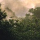 Global Warming: What You Need To Know: Amazon Tipping Point
