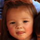 Jon & Kate Plus 8 Viewer's Choice: A Cow Purchase