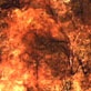 Perfect Disaster: How a Fire Storm Forms