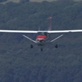 Wing Tips: Level Flight