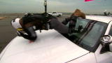 Jamie Hyneman Pinata (thumbnail)