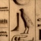 Curse of Tutankhamun: Decoding a Curse