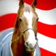 Whoa! Sunday with Mo Rocca: Sadie For Senate