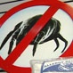 Body Invaders: Dust Mites