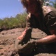 play video on Animal Planet