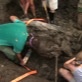 Mastodon in Your Backyard: Mastodon Skull
