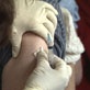 Body Invaders: Immunizations