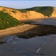 Sunrise Earth: Sunrise Seal Colony