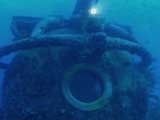 Spy on the Wild: Aquarius