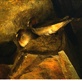 Sunrise Earth : Swallow Sea Cave