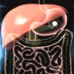 Body Invaders: Digestive Problems