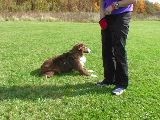 play video on Animal Planet