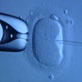 Baby Health: In-vitro Fertilization