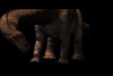play video on Discovery Channel