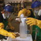 MythBusters: Can Chocolate Stop Acid?