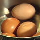 A Lyon in the Kitchen: Eggs