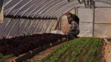 Emeril Green 2: Sunnyside Farms