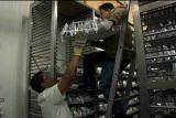 G Word :Doomsday Vault