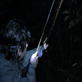 Into the Unknown: Failed Hunt