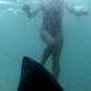 Best of Shark Week: Tiger Shark Attack: Beyond Fear