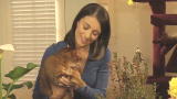 Housecat Housecall: Dangerous Plants