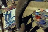 Weird True & Freaky: An Artistic Elephant