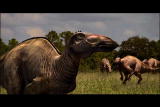 Dinosaurs: Anatotitan Duckbill: Efficient Eater