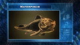 Animal Armageddon: Materpiscis