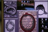 LA Ink Shorts: Dragon Circle