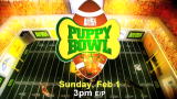 Puppy Bowl V: Get Ready for Puppy Bowl!