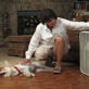 Petfinder: Heat Stroke