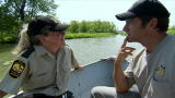 Dirty Jobs: The Uncommon Common Tern