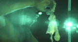 Survivorman 2 Shorts: Gathering Food in Labrador