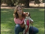 Who Gets the Dog: Who Gets the Dog: Preview