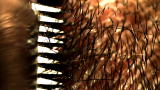 Time Warp: Electric Razor